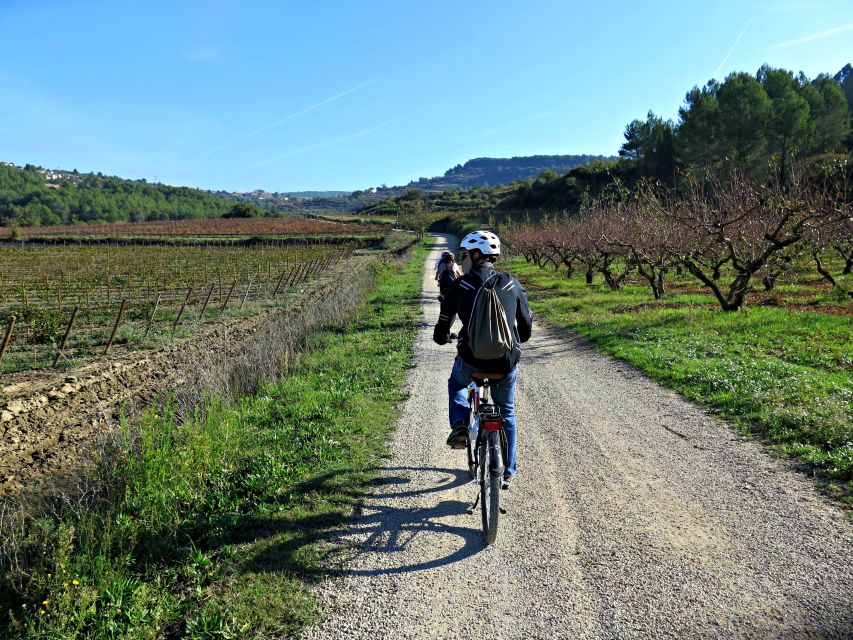Barcelona: Guided Half-Day Wine and Electric Bike Tour - What the $101 price gets you