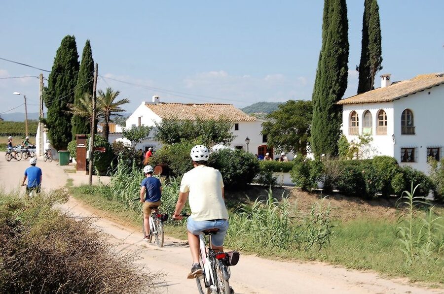 Barcelona: Guided Half-Day Wine and Electric Bike Tour - Taking the train from Barcelona to Lavern-Subirats