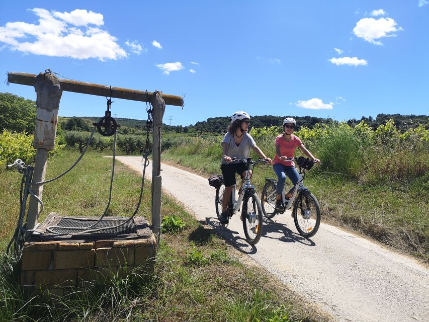 Barcelona: Guided Half-Day Wine and Electric Bike Tour - Who will enjoy this tour most