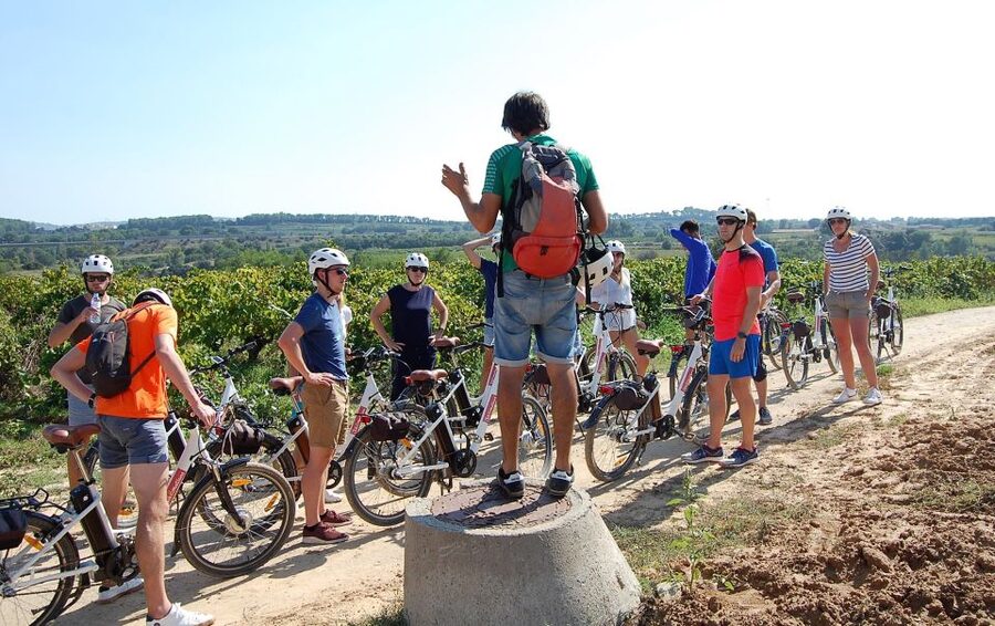 Barcelona: Guided Half-Day Wine and Electric Bike Tour - Practical advice for a smoother morning