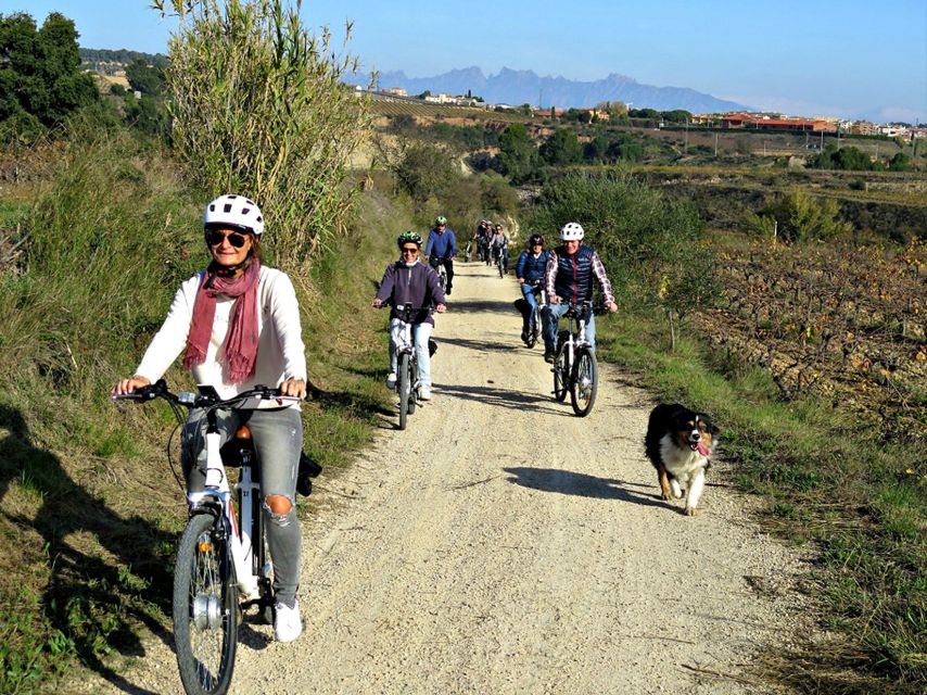 Barcelona: Guided Half-Day Wine and Electric Bike Tour - Meeting Albert, Colin, or another local guide