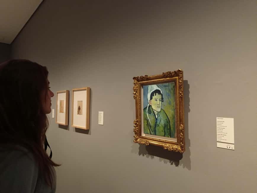 Barcelona: Guided Tour of the Picasso Museum with Tickets - Guide quality and language choices