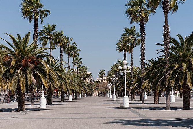 Barcelona Half-Day Sightseeing Private Tour - Casa Batlló and La Pedrera on Passeig de Gràcia
