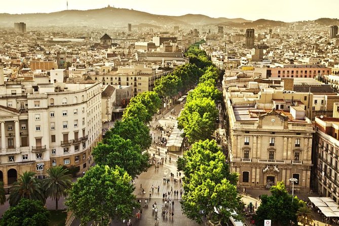 Barcelona Half-Day Sightseeing Private Tour - Sagrada Familia, the essential Gaudí stop