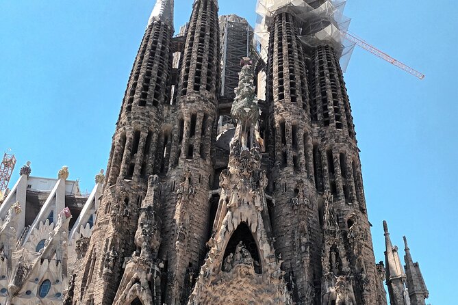Barcelona Highlights Bike Tour - Why a bicycle works so well in Barcelona
