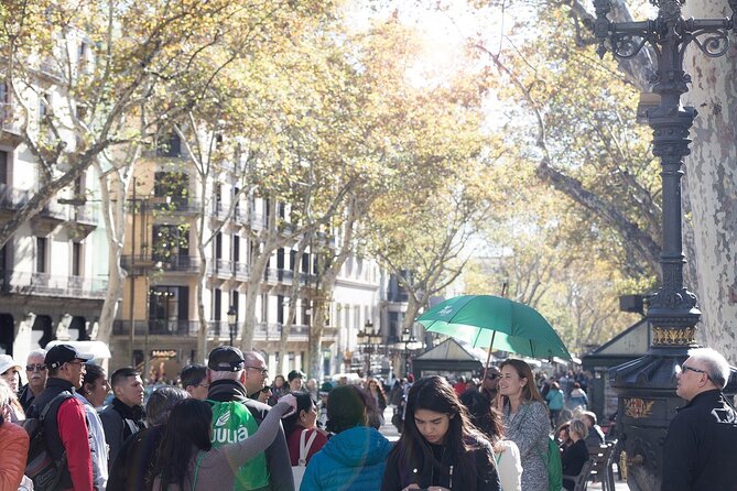 Barcelona Highlights Guided Tour with Monjuic Cable Car - Meeting point, walking demands, and timing