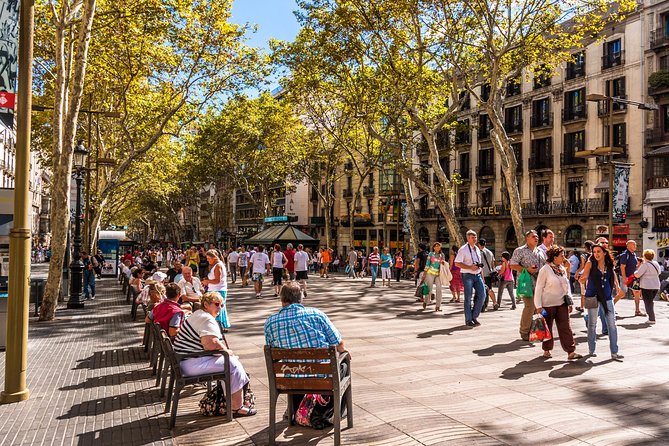 Barcelona Highlights Private Guided Tour with Hotel Pick-up - Sagrada Família needs a plan, not a glance