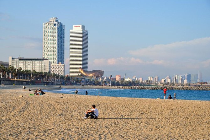 Barcelona Highlights Private Tour with Driver and Official Guide - Las Ramblas and La Boqueria: a lively first look