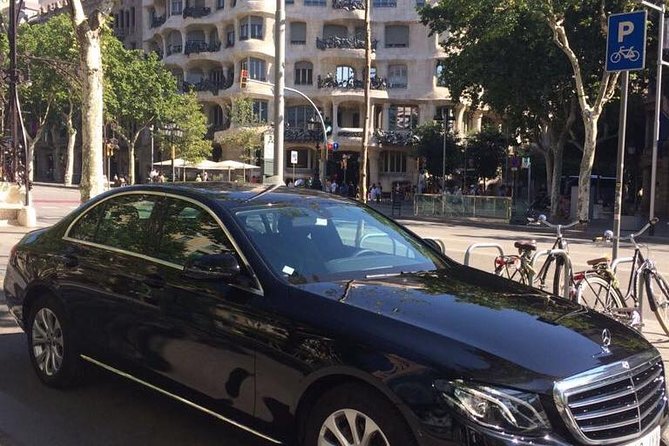 Barcelona Highlights Private Tour with Port or Hotel Transfers - Who should book this private Barcelona tour?