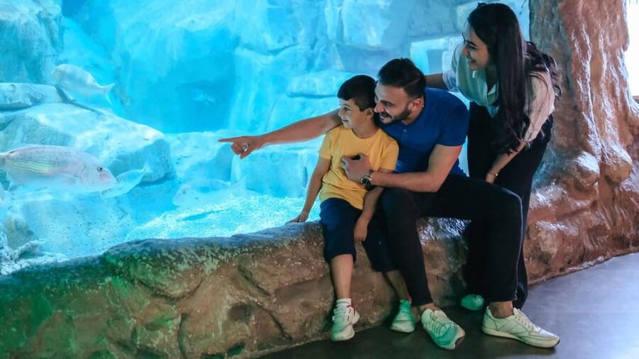 Barcelona: Hop-On Hop-Off Bus & Aquarium Tour - A practical way to see a spread-out Barcelona