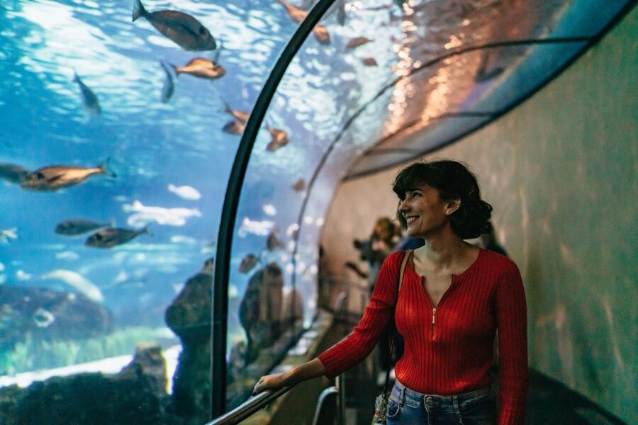 Barcelona: Hop-On Hop-Off Bus & Aquarium Tour - Plaça Catalunya is the easiest place to begin