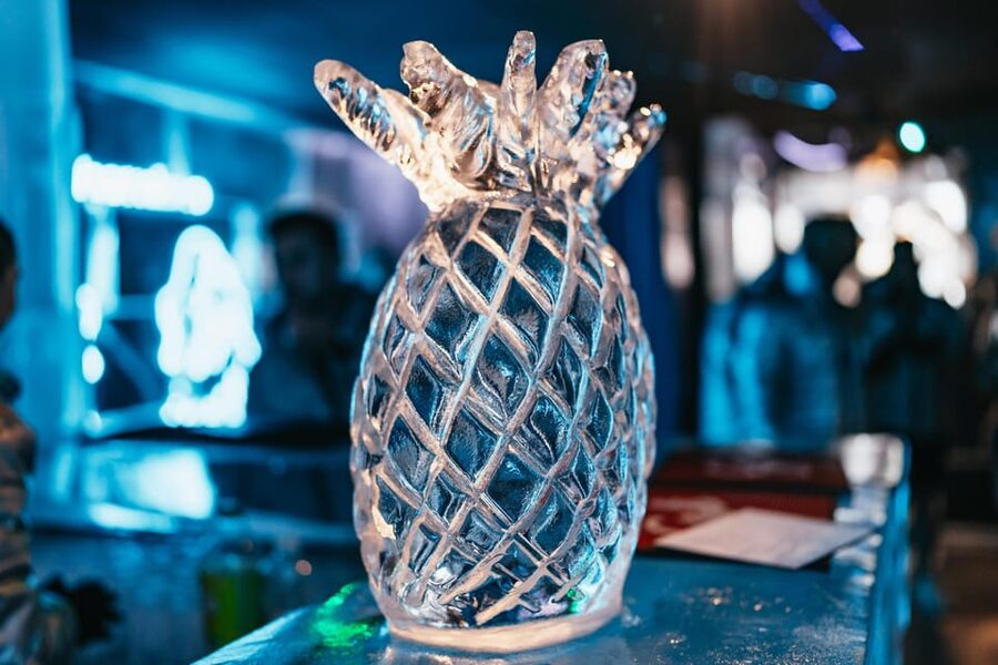 Barcelona: Icebar experience, located at the beach !! - Is $22 good value?