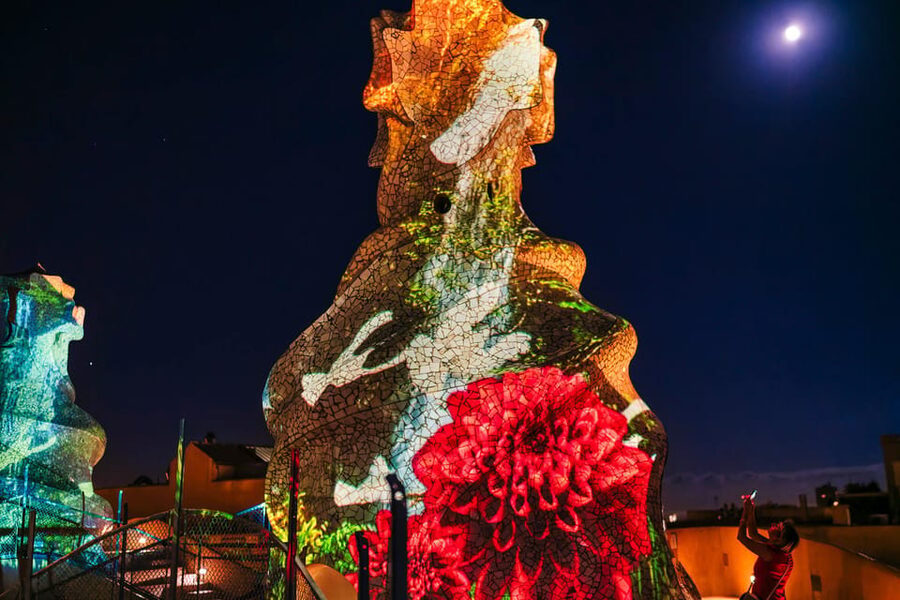 Barcelona: La Pedrera Night Experience - Projections in the Badalots