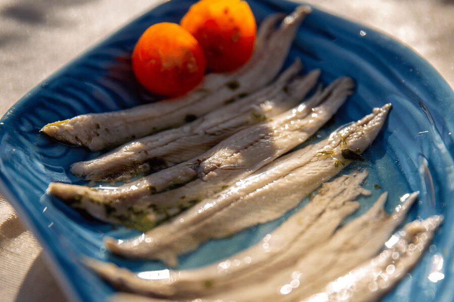 Barcelona: Local Tapas and Drinks Sailing Adventure Tour - Weather, timing and practical limits