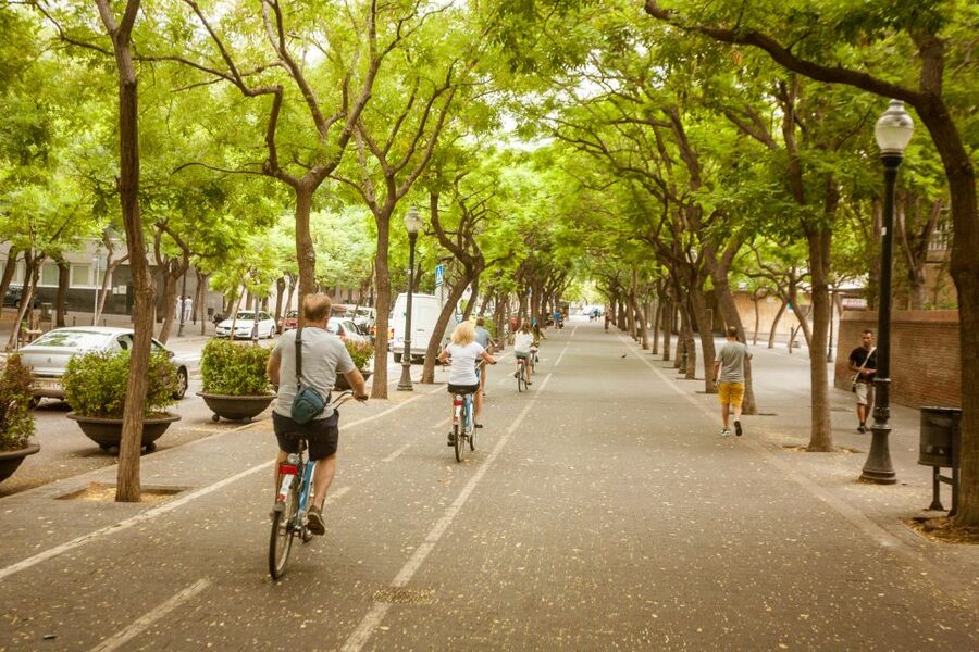 Barcelona Montjuic Three-Hour Bike Tour - The Olympic ring and Barcelona’s modern chapter