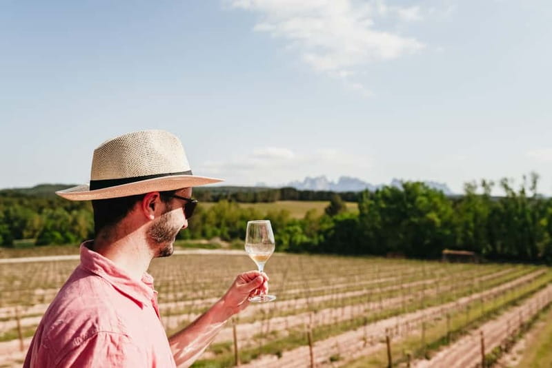 Barcelona: Montserrat and Winery Tour with Tapas or Lunch - How much value do you get for $61?