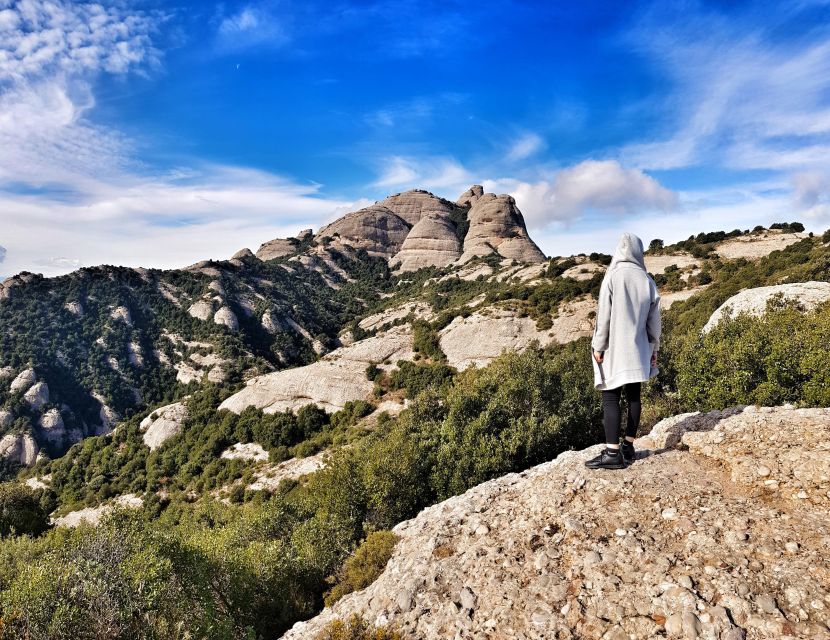 Barcelona: Montserrat Private Tour for Families with Pickup - What the guide adds to the day
