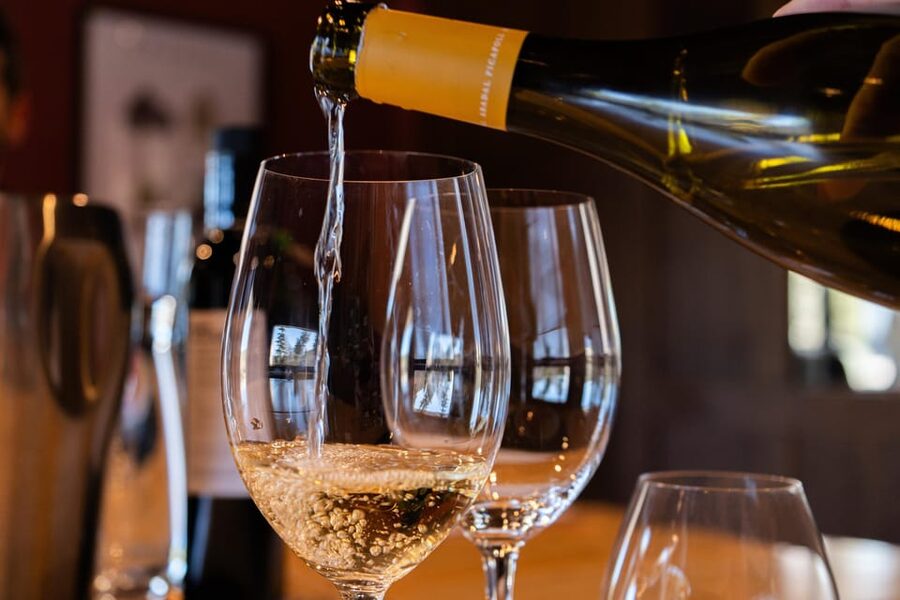 Barcelona: Montserrat, Winery Tour & Lunch with Wine Tasting - Should you book it?
