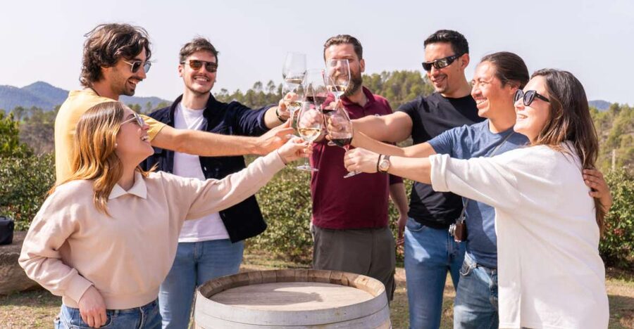Barcelona: Montserrat, Winery Tour & Lunch with Wine Tasting - Making the most of your Montserrat free time