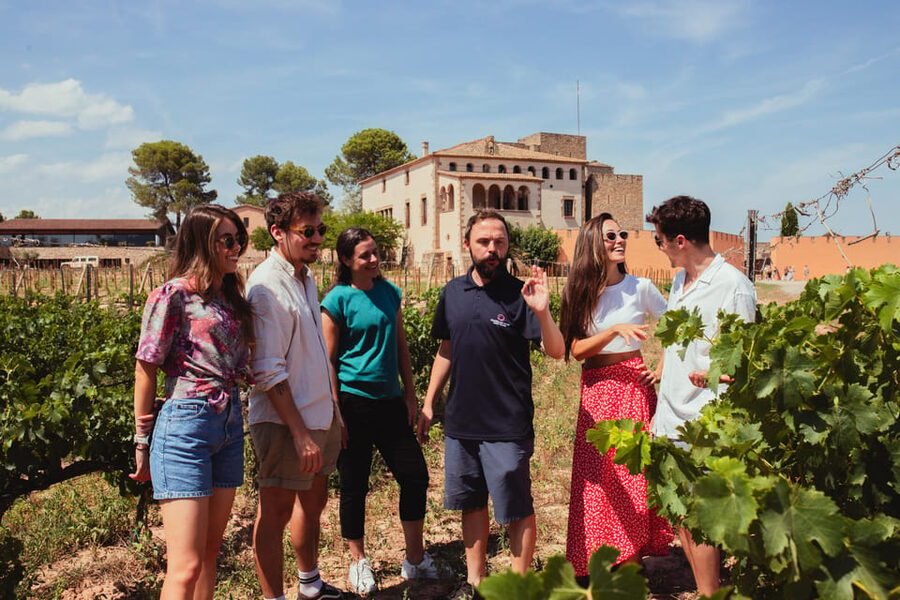 Barcelona: Montserrat with Winery, Lunch, and Train Options - Is $63 a good price?