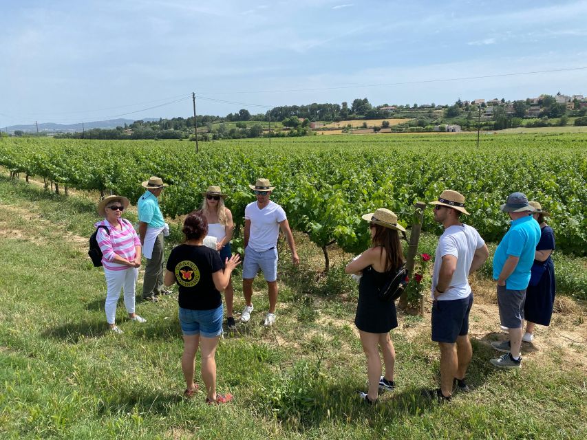 Barcelona: Montserrat with Winery Visit and Farmhouse Lunch - Pares Baltà and the making of Cava