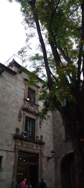 Barcelona: Mystical Walking Tour in the Gothic Quarter - Plaça Sant Jaume and the Gothic Quarter