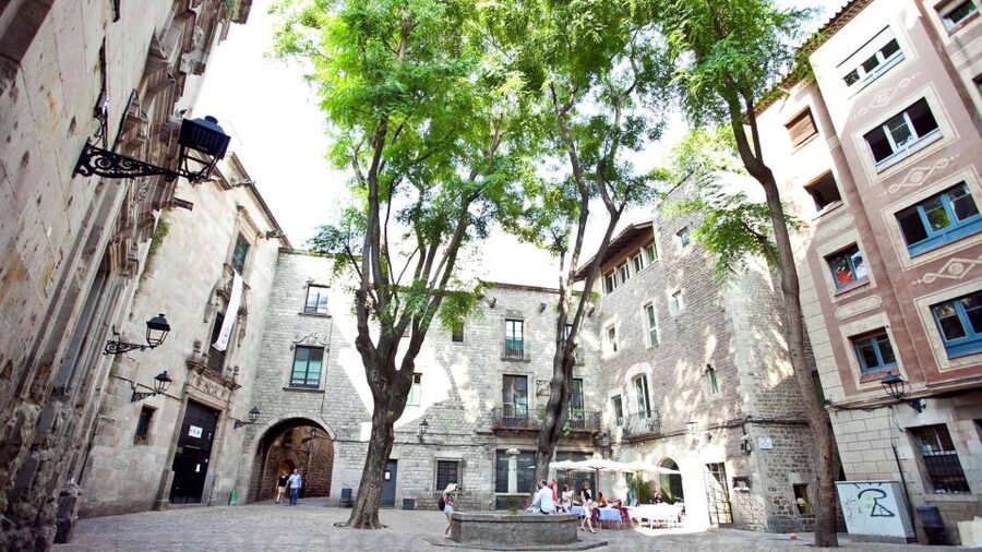Barcelona: Old Town and Gothic Quarter Walking Tour - Gothic Quarter lanes and Plaça del Rei