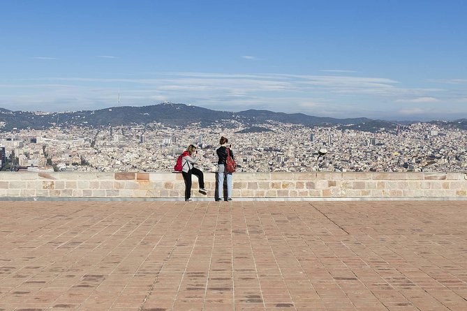 Barcelona: Old Town, Montjuic Castle, Cable Car Small Group Tour - Montjuïc Park and the 360-degree view