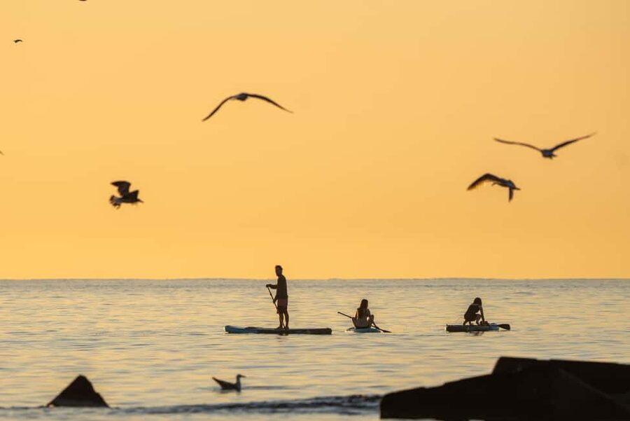 Barcelona: Paddlesurf Rental Barceloneta beach (75min) - A Simple Paddleboard Session Near Barcelona’s Main Beach