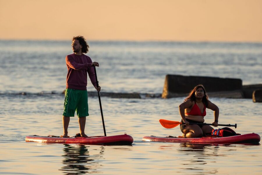 Barcelona: Paddlesurf Rental Barceloneta beach (75min) - Price and Practical Value at $17