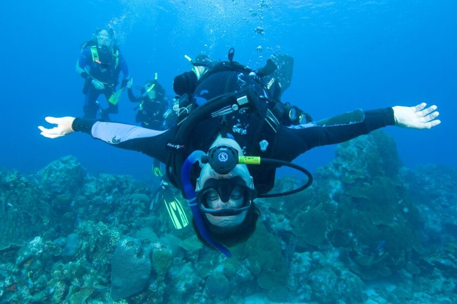 Barcelona: PADI Discover Scuba Diving - What you may see below Barcelona