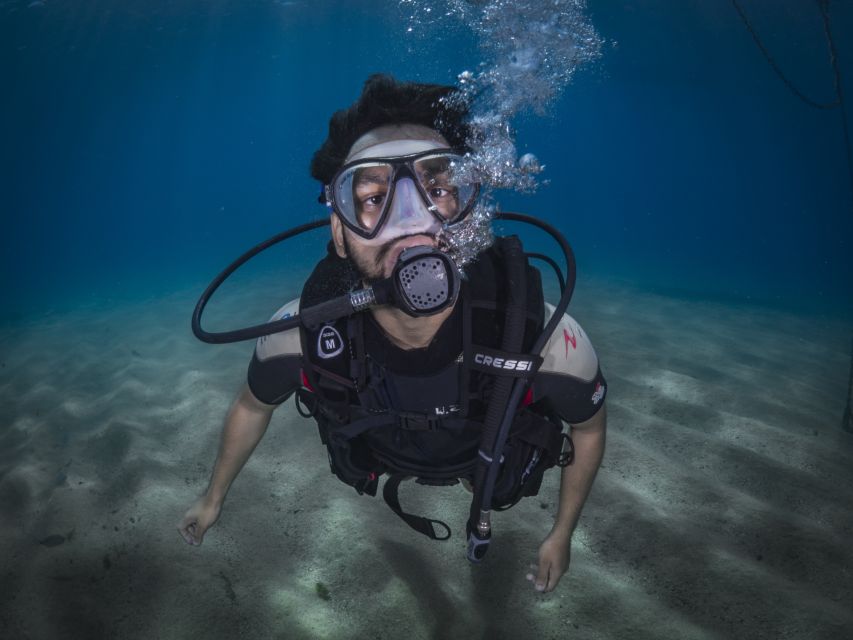 Barcelona: PADI Discover Scuba Diving - Is $81 a fair price?