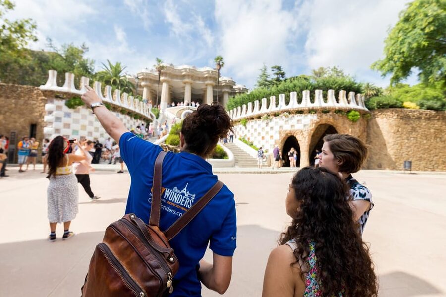 Barcelona: Park Guell Guided Tour with Skip The Line Entry - Columns, curves, and Gaudí’s Modernisme