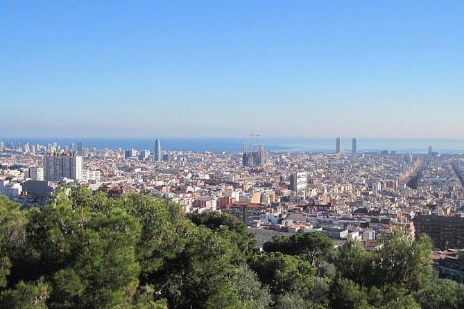 Barcelona: Park Guell Guided Tour with Skip the Line Ticket - Starting at Ctra. del Carmel, 23
