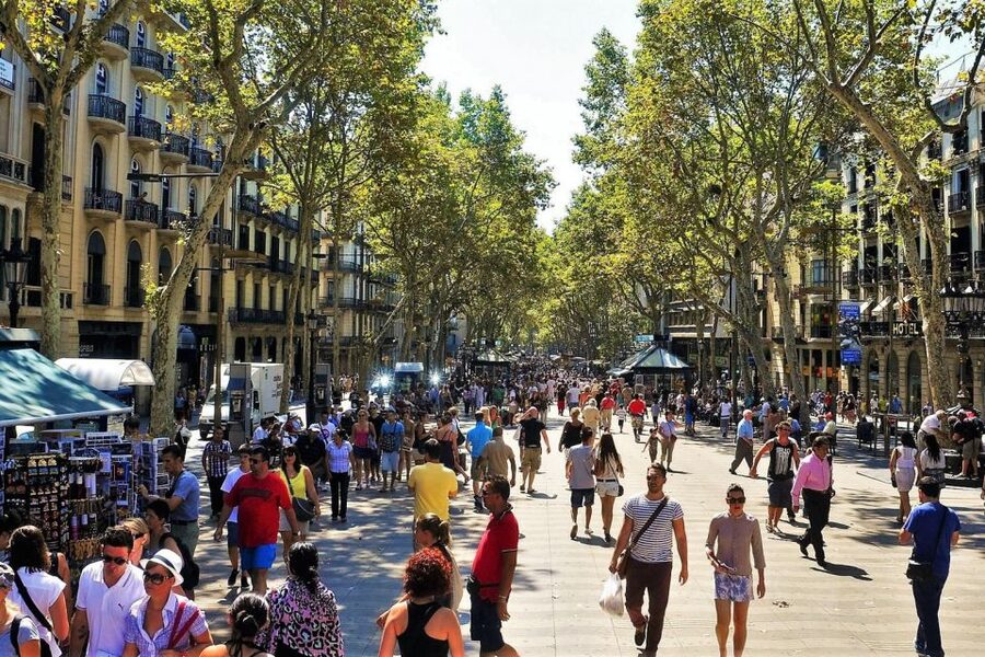 Barcelona & Park Güell: Private Half-Day Tour with Pickup - Walking through the Gothic Quarter and Roman Barcelona