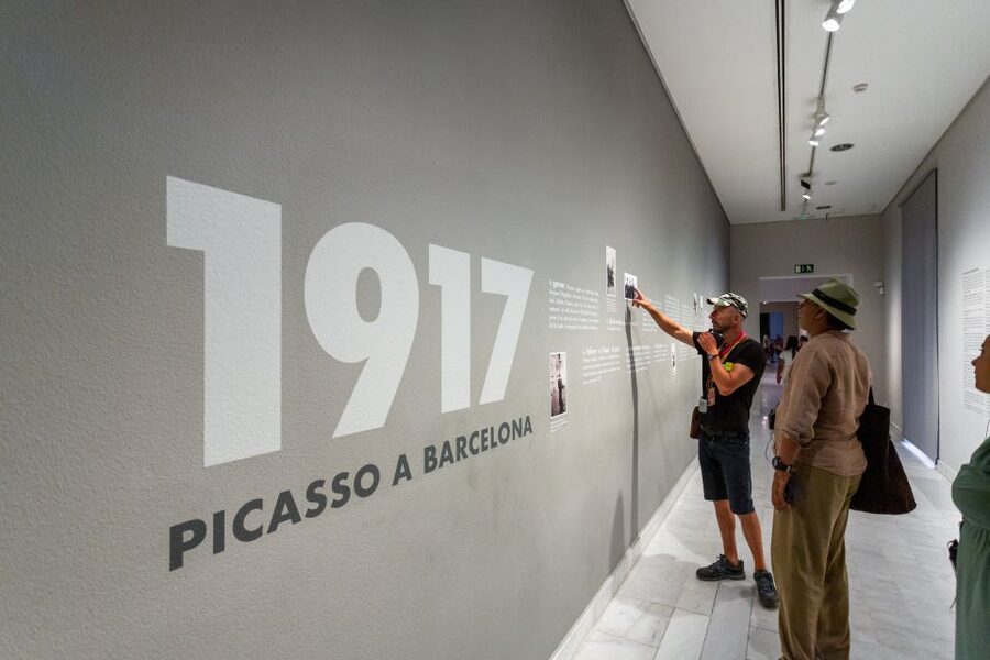 Barcelona: Picasso Museum Skip-the-Line Guided Tour - Key points at a glance