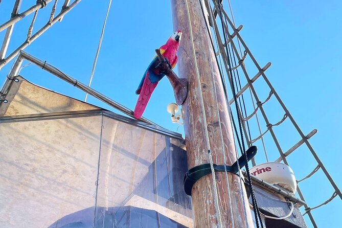 Barcelona Pirate Adventure 75min. - Timing, weather, and practical planning