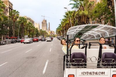 Private City Tour by Eco Tuk Tuk