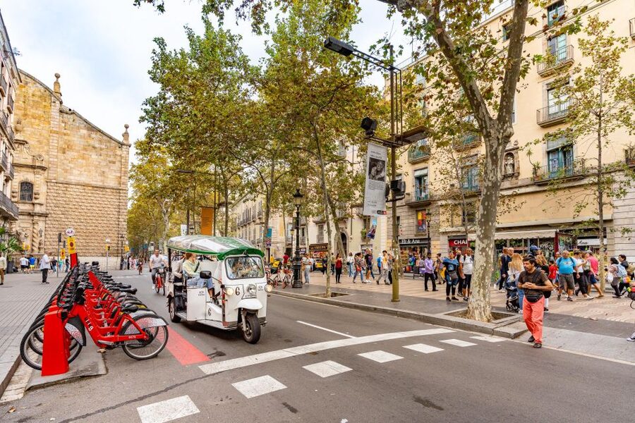 Barcelona: Private City Tour by Eco Tuk Tuk - What the guide adds