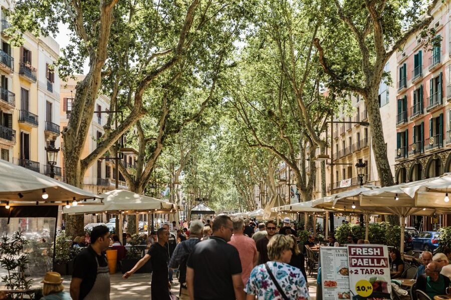 Barcelona: Private Custom Tour with a Local – Icons & Gems - Tips that help with the rest of your stay