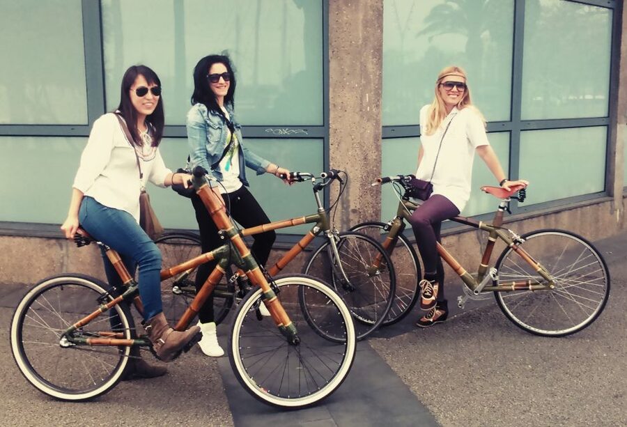 Barcelona: Private Highlights Tour by Bamboo Bicycle - Parc de la Ciutadella and Arc de Triomf
