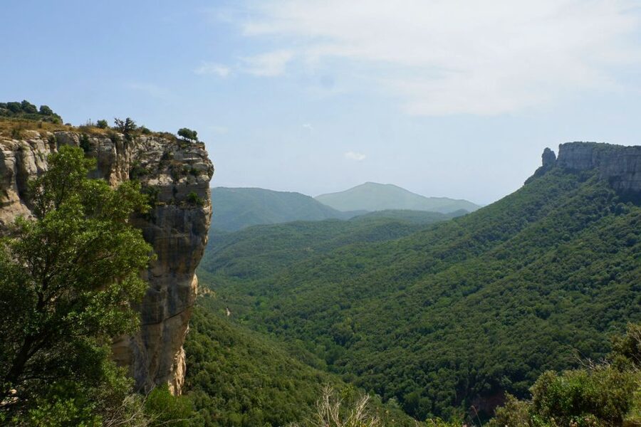 Barcelona: Pyrenees Villages and Trails Full-Day Tour - From Plaça de Catalunya to the Pyrenees foothills