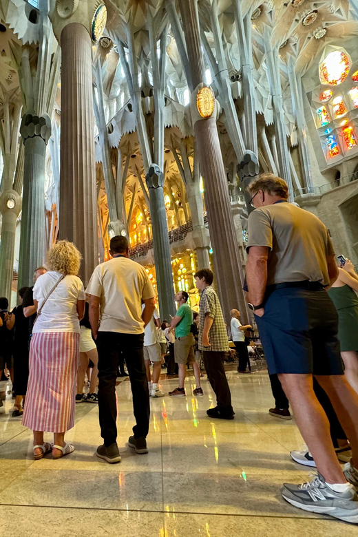 Barcelona: Sagrada Familia Entry Ticket and Guided Tour - Inside the basilica: columns like a stone forest