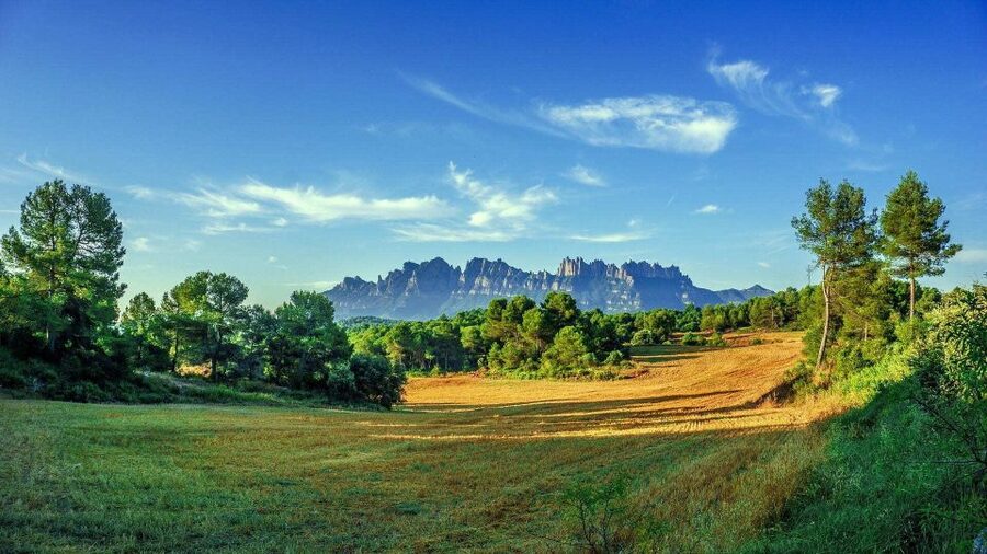 Barcelona: Sagrada Familia & Montserrat Full-Day with Pickup - Who should book this full-day tour?