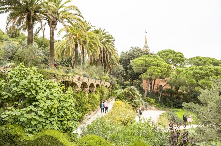 Barcelona: Sagrada Familia with Towers and Park Güell Tour - How much walking and standing should you expect?