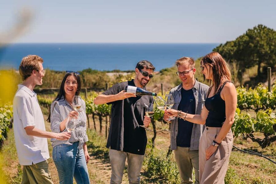 Barcelona: Sailing Cruise & Vineyard Tour with Wine Tasting - From Port Olímpic to Alella by sailboat