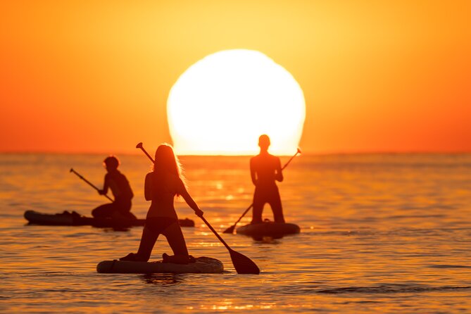 Barcelona: Sunrise Paddle Surf with Instructor and Photos - Who will enjoy this most
