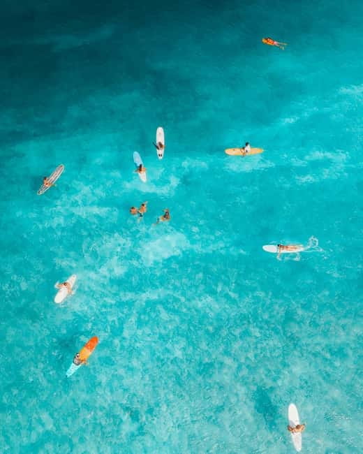 Barcelona: Sunrise & Sunset Paddle Surf Experience - Key points at a glance