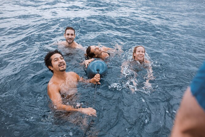 Barcelona Sunset Cruise with Open Bar of Cava and Snacks - The captains make a real difference