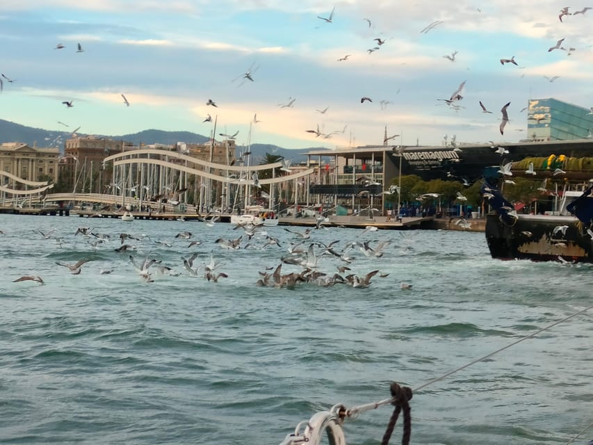 Barcelona: Sunset Cruise with Snacks and Drinks - The swim stop and what to pack